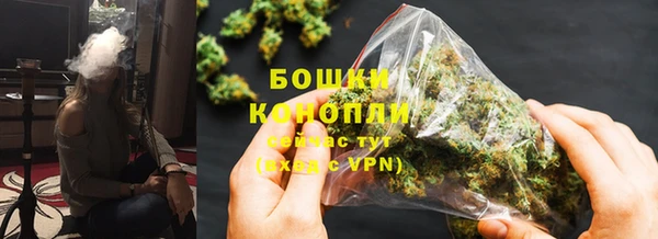 стаф Карпинск