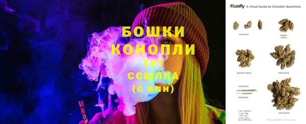 стаф Карпинск