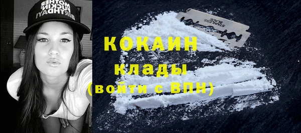 стаф Карпинск