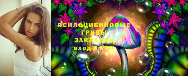 стаф Карпинск