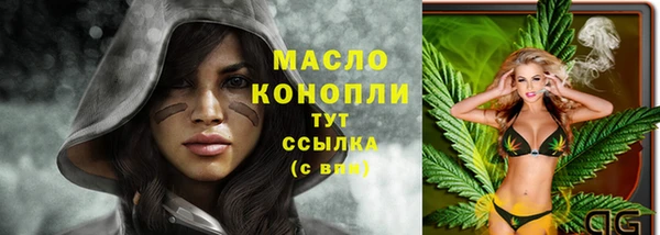 стаф Карпинск