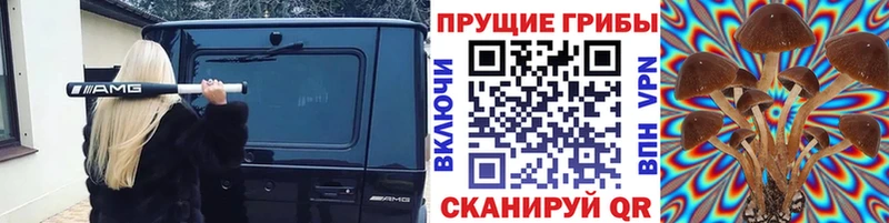 Купить  Вышний Волочёк  Галлюциногенные грибы Cubensis 